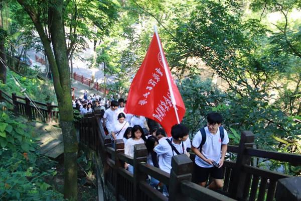 水泥兑胶水做防水怎么样？